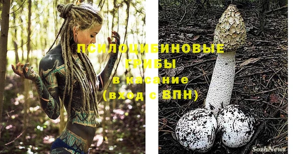 a pvp Осинники