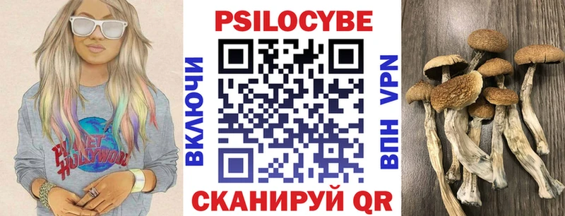 Псилоцибиновые грибы GOLDEN TEACHER  MEGA маркетплейс  Бирюч  где купить наркоту 